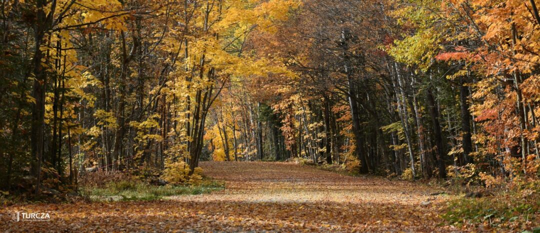 Rząd przedłuża termin na przygotowanie planów ogólnych 
